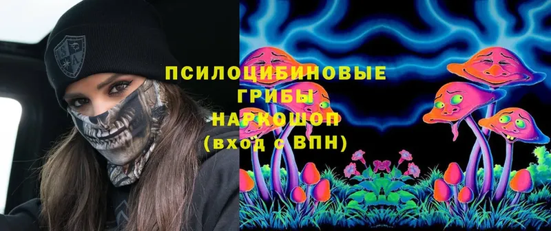 цены   Нолинск  Псилоцибиновые грибы Psilocybe 